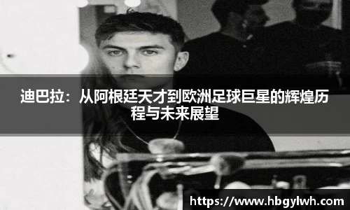 凤凰联盟首页官网