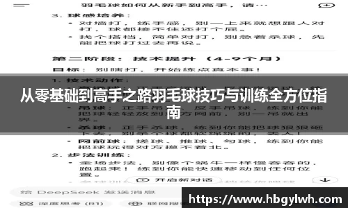 从零基础到高手之路羽毛球技巧与训练全方位指南